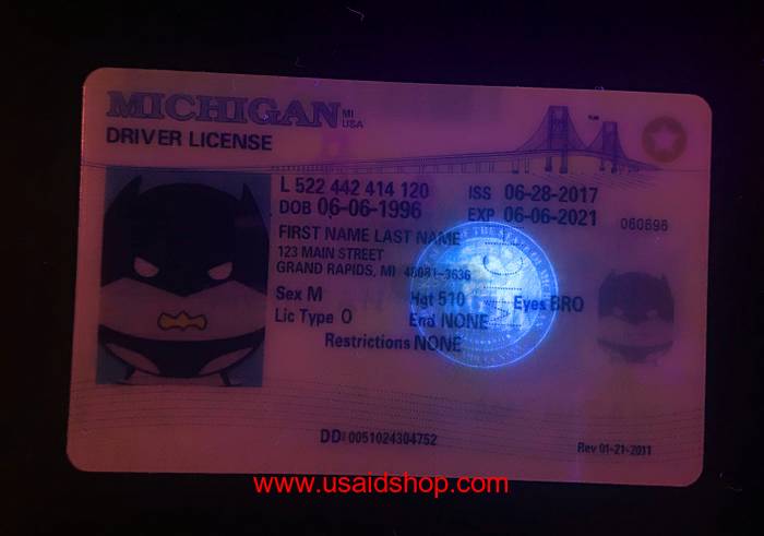 MICHIGAN Fake IDs